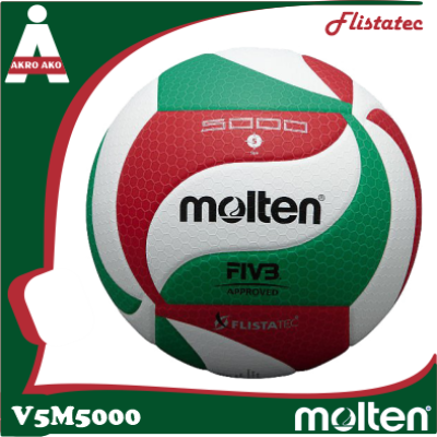 Molten V5M5000 Flistatec Volleyball